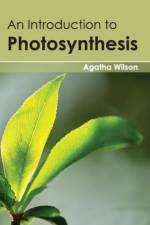 Introduction to Photosynthesis