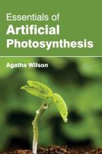 Essentials of Artificial Photosynthesis