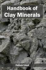 Handbook of Clay Minerals