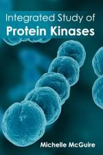 Integrated Study of Protein Kinases