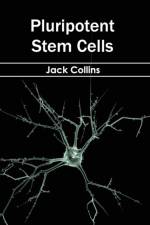 Pluripotent Stem Cells