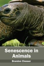 Senescence in Animals
