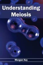 Understanding Meiosis