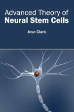 Advanced Theory of Neural Stem Cells