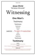 Witnessing One Man's Testimony af Michael Steven Kenworthey