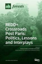 REDD+ Crossroads Post Paris
