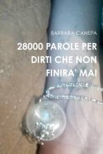 28000 Parole Per Dirti Che Non Finira' Mai af Barbara Canepa