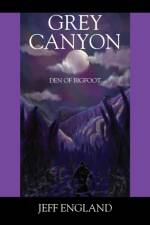 Grey Canyon af Jeff England