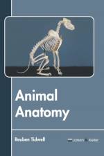 Animal Anatomy