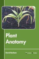 Plant Anatomy