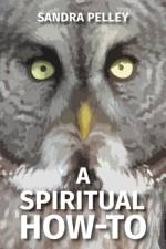 Spiritual How-To af Sandra Pelley