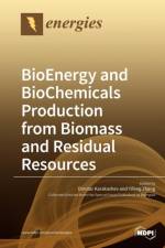 BioEnergy and BioChemicals Production from Biomass and Residual Resources