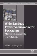 Wide Bandgap Power Semiconductor Packaging