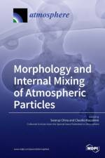 Morphology and Internal Mixing of Atmospheric Particles