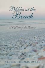 Pebbles at the Beach af Steven Thomas Dykes