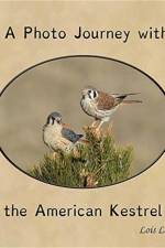 Photo Journey with the American Kestrel af Lois Lake