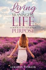 Living a Meaningful Life Without Purpose af Gershon Winkler