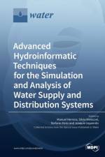 Advanced Hydroinformatic Techniques for the Simulation and Analysis of Water Supply and Distribution Systems