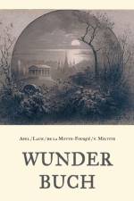 Wunderbuch - Drei Bande in einem Band af Friedrich De La Motte-Fouque
