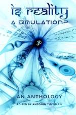 Is Reality a Simulation? af Antonin Tuynman