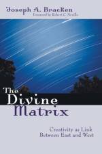 The Divine Matrix af Joseph a Sj Bracken