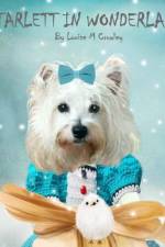 Starlett in Wonderland af Louise M Crowley