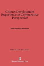 China's Development Experience in Comparative Perspective