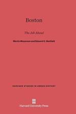 Boston af Martin Meyerson
