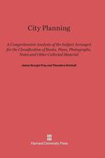City Planning af Theodora Kimball