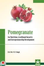 Pomegranate for Nutrition, Livelihood Security and Entrepreneurship Development