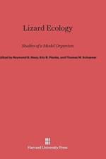 Lizard Ecology