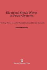Electrical Shock Waves in Power Systems af Reinhold Rudenberg