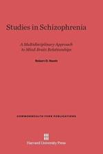 Studies in Schizophrenia af Robert G Heath
