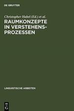 Raumkonzepte in Verstehensprozessen