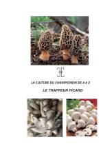 Culture Du Champignon de a A Z af Nicolas Haussy