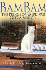 Bambam the Prince of Valprivas! Gets a Visitor