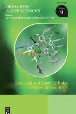 Structural and Catalytic Roles of Metal Ions in RNA