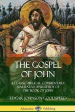 Gospel of John af Edgar Johnson Goodspeed