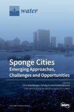 Sponge Cities