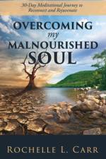 Overcoming My Malnourished Soul af Rochelle L Carr