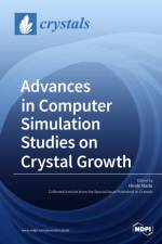Advances in Computer Simulation Studies on Crystal Growth