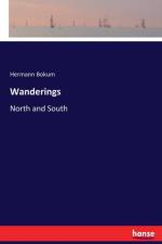 Wanderings af Hermann Bokum