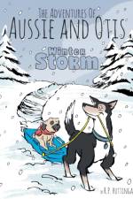 Winter Storm af R P Huttinga