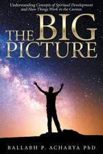 The Big Picture af Ballabh P Acharya