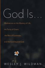 God Is . . . af Wesley J Wildman