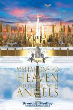 Visitations to Heaven and Talking with Angels af Brenda J Medley