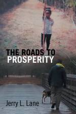 Road to Prosperity af Jerry L Lane