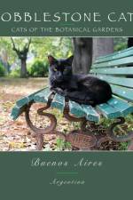 Cobblestone Cats - Buenos Aires