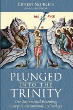 Plunged into the Trinity af Ernest Skublics