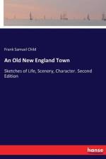 Old New England Town af Frank Samuel Child